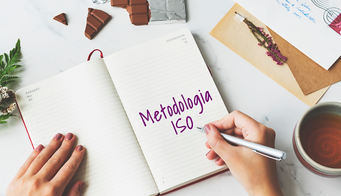 Metodologia ISO