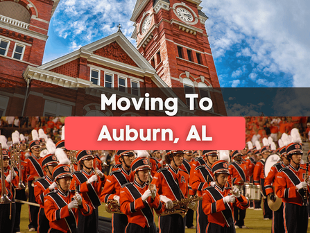 Savor the South in Auburn, Alabama: Your Guide to Local Cuisine and More