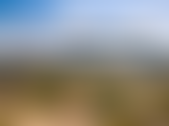 Southern Charm and Culture: Top 5 Things to Do in Birmingham, Alabama in 2023