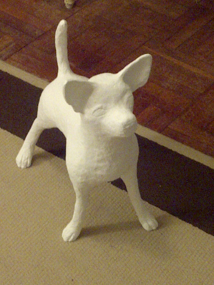 IMG-20121105-00388