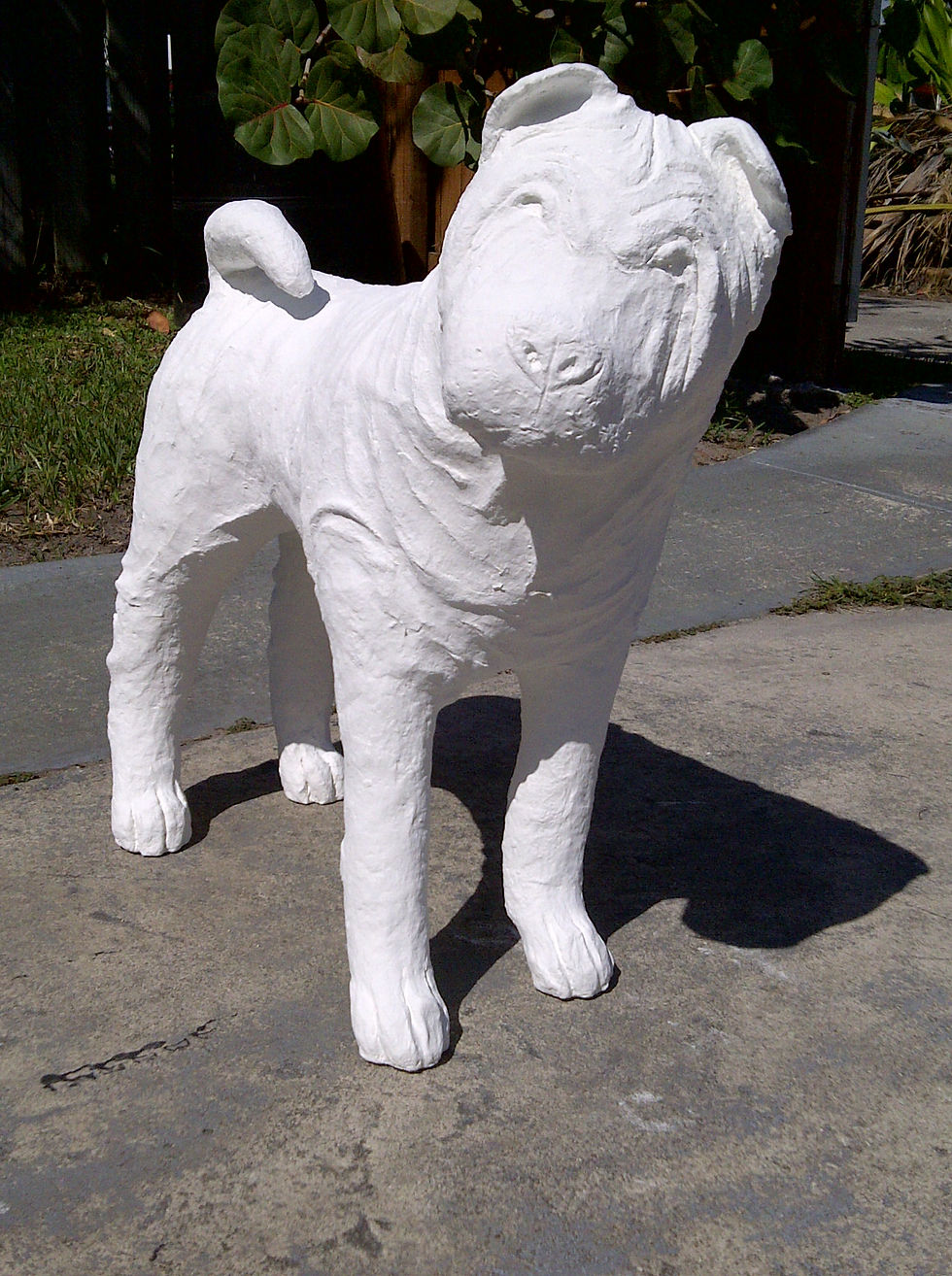 Hollywood-20120218-00174