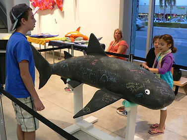 P1130104.JPG
