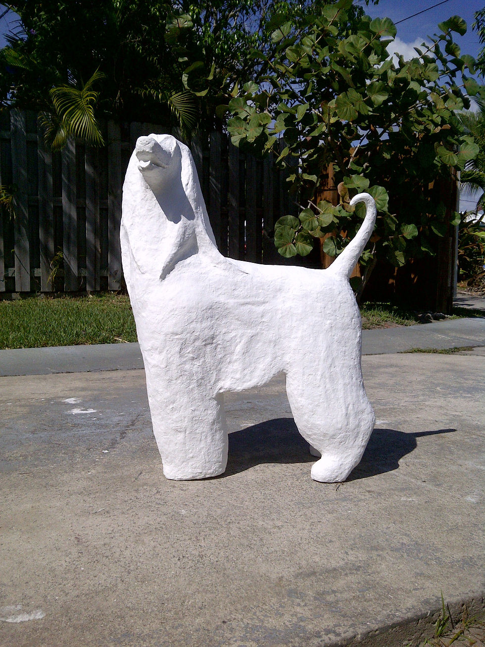 IMG-20120218-00163
