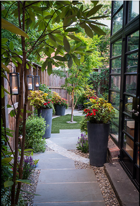 Contemporary Courtyard