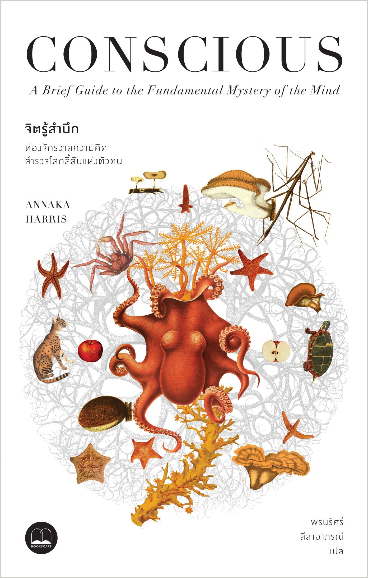 จิตรู้สำนึก: ท่องจักรวาลความคิด สำรวจโลกลี้ลับแห่งตัวตน