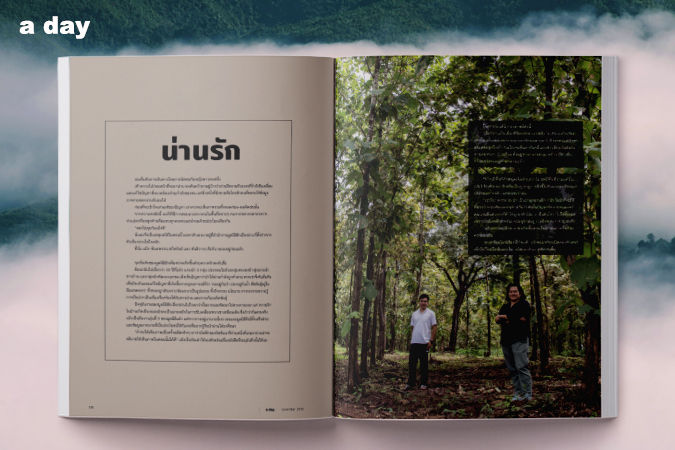 ภาพขนาดย่อ: a day 231: Nan Journey