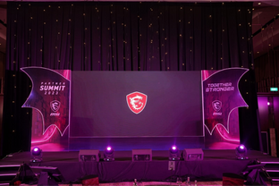 Stage MSI_edited.png