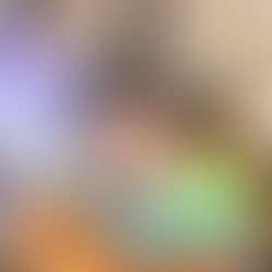 Thank you for the over 1,500 New Stuffed Animals  and TOYS for the kids of the Feed the Kids Food Pa