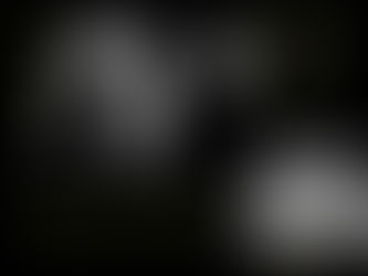 Ο Νίκος Θεοδωράκης απαντάει στην σιωπή της Μαργαρίτας με το νέο τραγούδι «Μίκης Αρχιέλληνας Πατέρας»