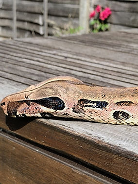 404387888_10168609959425220_345544035276