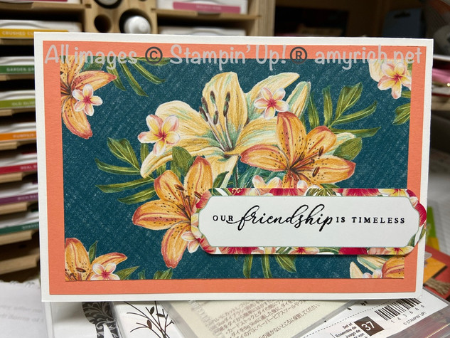 Tropical Oasis Memories & More #1