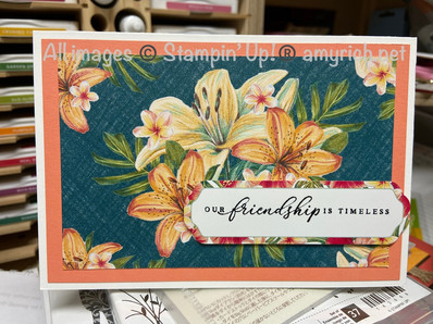 Tropical Oasis Memories & More #1