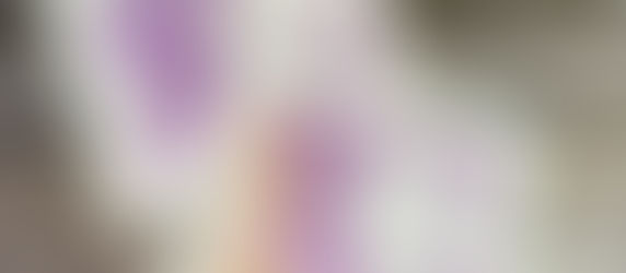 NUTS! I need a card NOW!