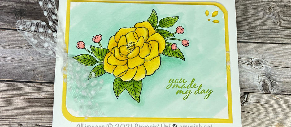 Choose What I Use with a Twist