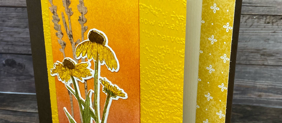 The Beauty of Nature's Harvest