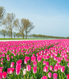 Screenshot 2025-10-29 134944.png