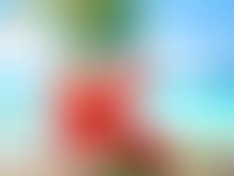 Top 5 weight loss tips for Summer