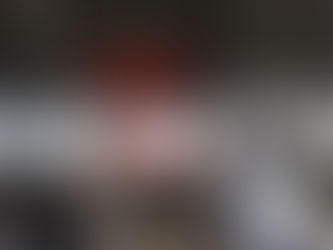 武道館ありがとうございました。