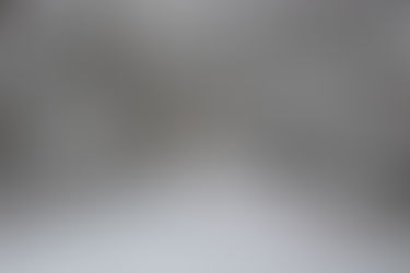 Urlaub wo andere leben: Zwettl im Waldviertel