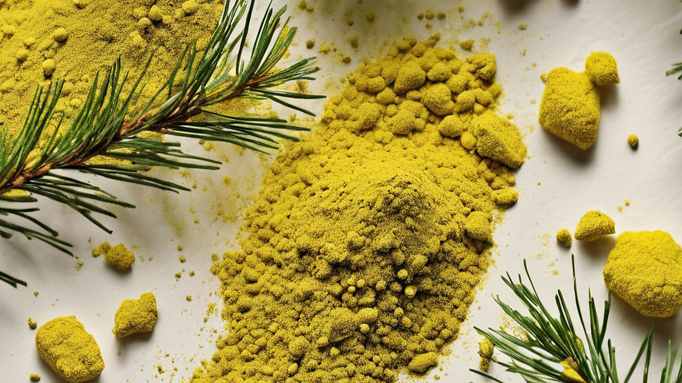 Pine Pollen and Testosterone