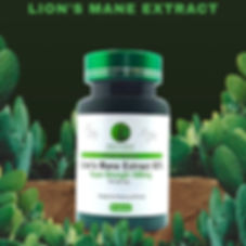 Lions Mane Capsules