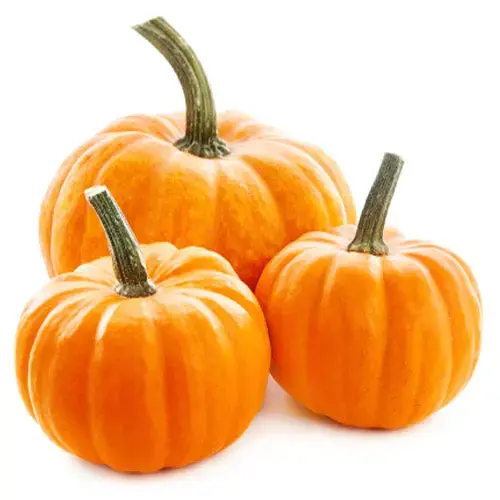 Pumpkin