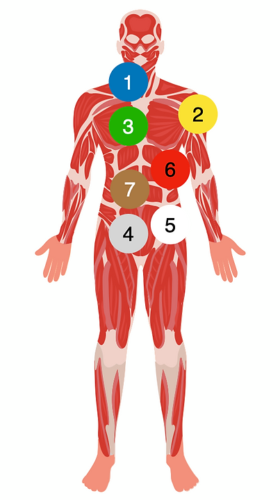 symptom checker.png