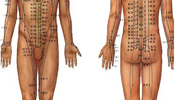 acupoints of the body.png