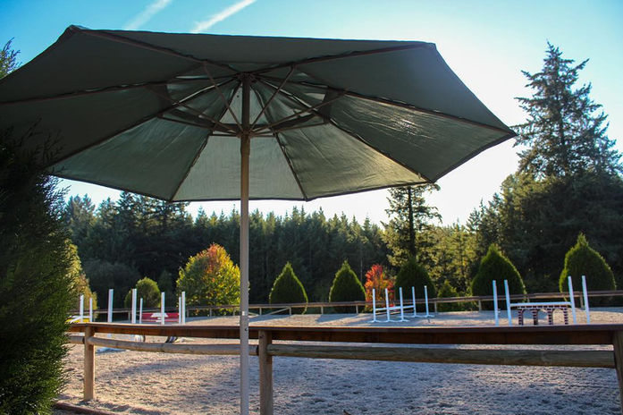 outdoor show jumping arena in Oregon lined by sunlit trees