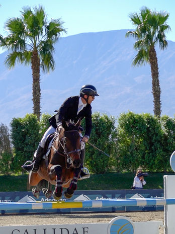 Chris Fellers rides MBF Late Night VIews in a young horse class at Desert Horse Park