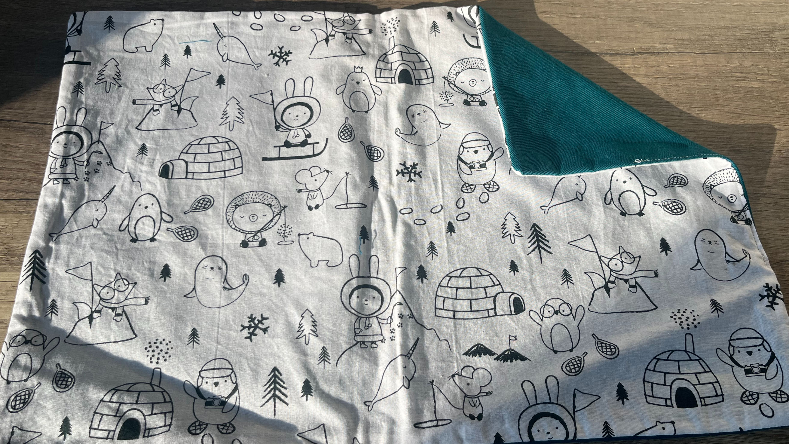 Set de table à colorier - Igloo 