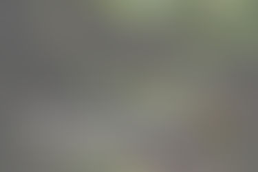 What Is Ancestral Healing and Why Does It Matter?