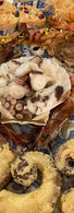image00009.jpeg