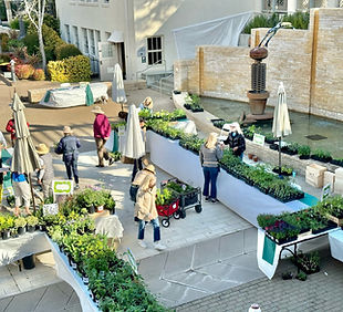 Plant Sale