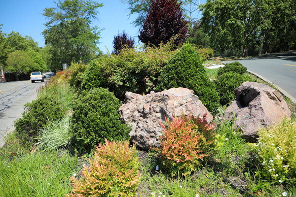 Triangle at Camino Sobranteimg-0512_orig