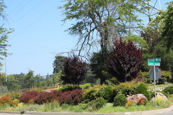 Triangle at Camino Sobrante