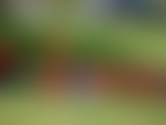 Το Πρόγραμμα των τμημάτων της Σχολής Ποδοσφαίρου ΠΑΟΚ Κουλούρας για το Σαββατοκύριακο (01-02/04/2017