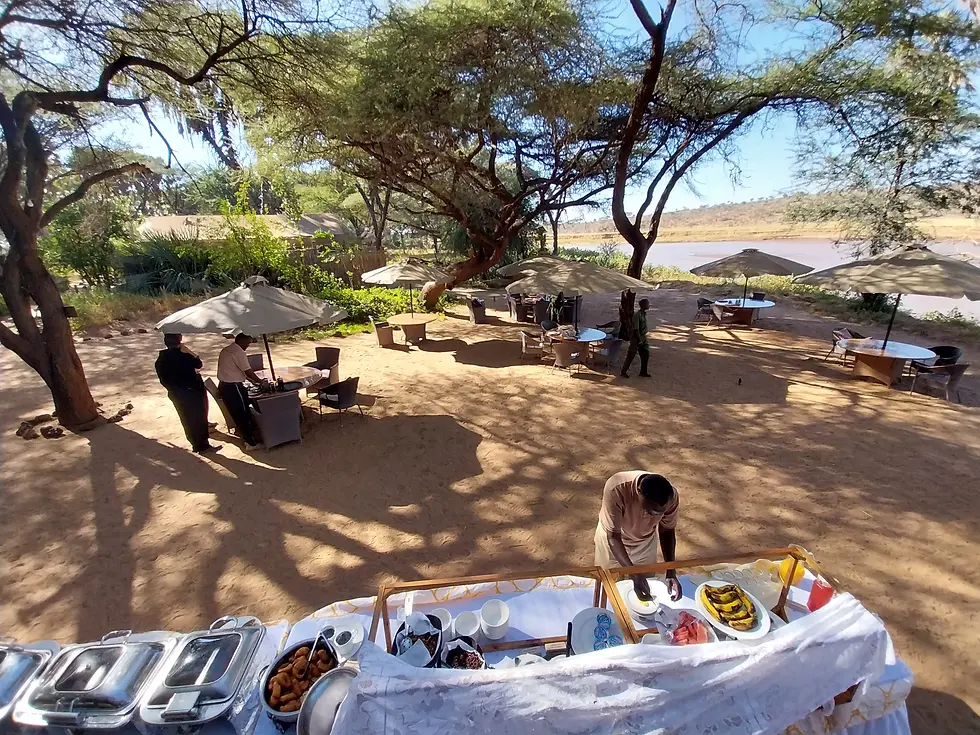 The staff quickly covered our plates to keep the birds off our breakfast while we waited for the elephant to pass through.