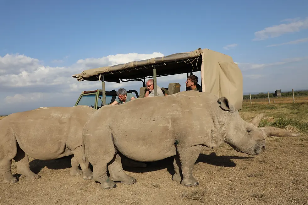 The keepers pour a bucket of pellets next to the truck so that the girls come up to greet their guests. We were given permission to pet them!