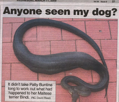 Another Day in Paradise