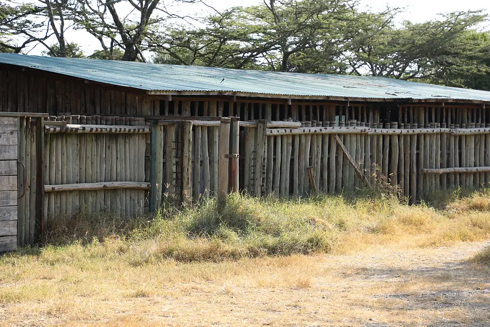 Rhino barns are double walled with upright posts anchored in concrete.