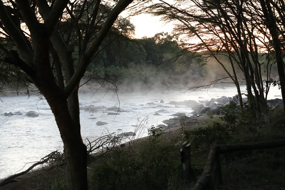 The cool morning air above the Mara River made for a gorgeous misty morning