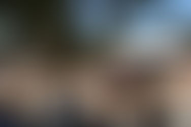 Boat Racing in the Desert