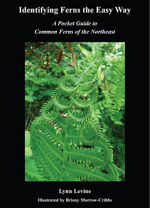 Fern Book Cover Identifying ferns the ea
