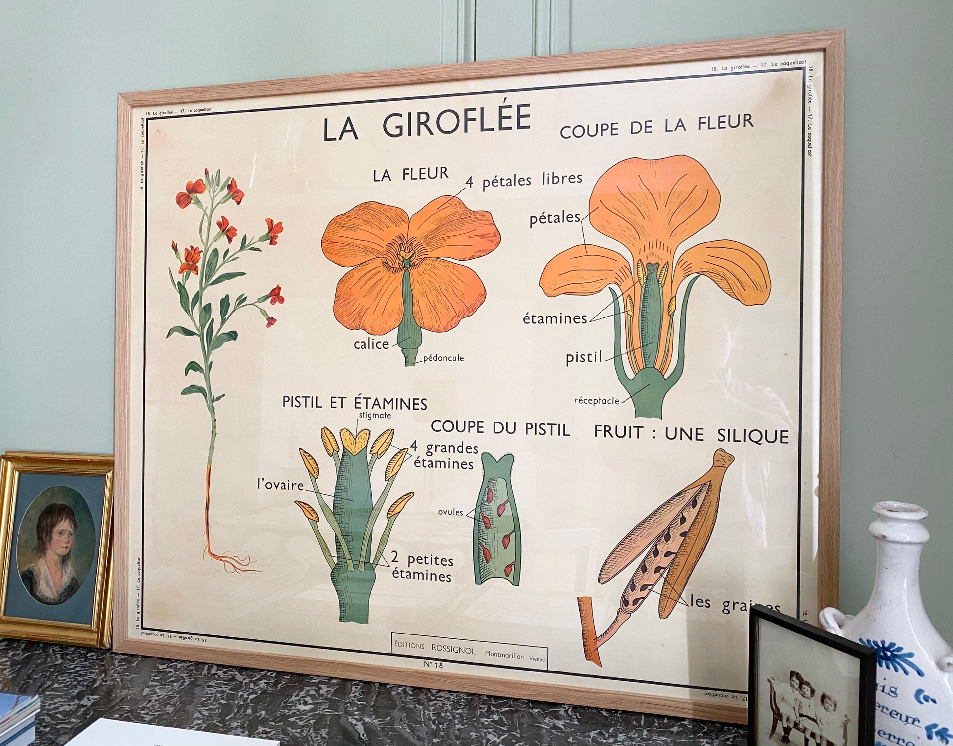 "The wallflower" Beautiful school poster from the 1960s
