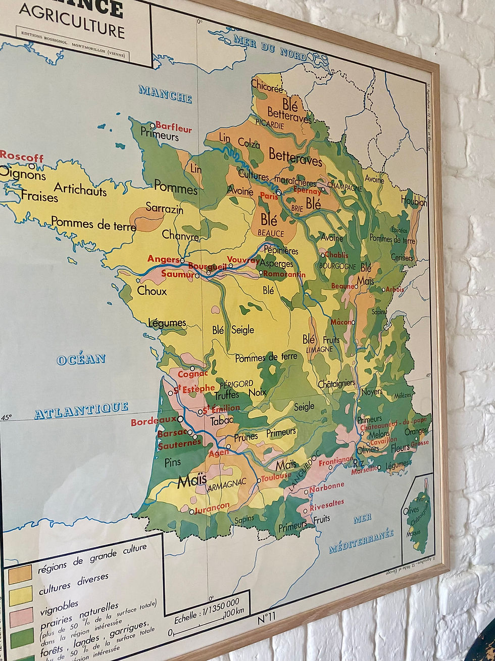 Thumbnail: Carta scolastica degli anni ’60: Agricoltura