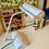 Miniature : Seminara model 1008 - Wall or table lamp
