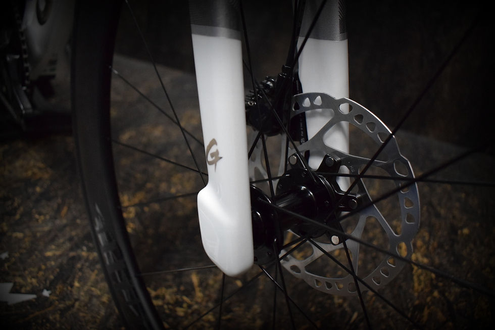 Miniaturbild: GUSTO GTR Disc 2026 | Shimano 105 Di2 R7170 DISC 12Fach | Attaque 50mm Carbon |