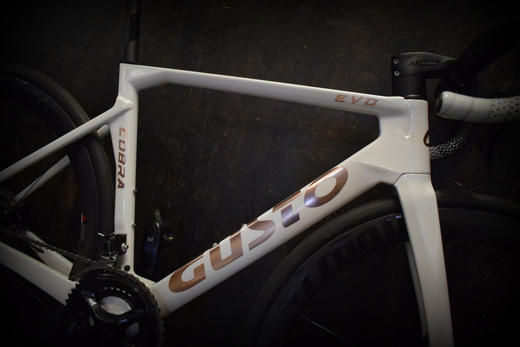 GUSTO Cobra Evo DB | Shimano 105 DI2 R7170 DISC 12Fach
