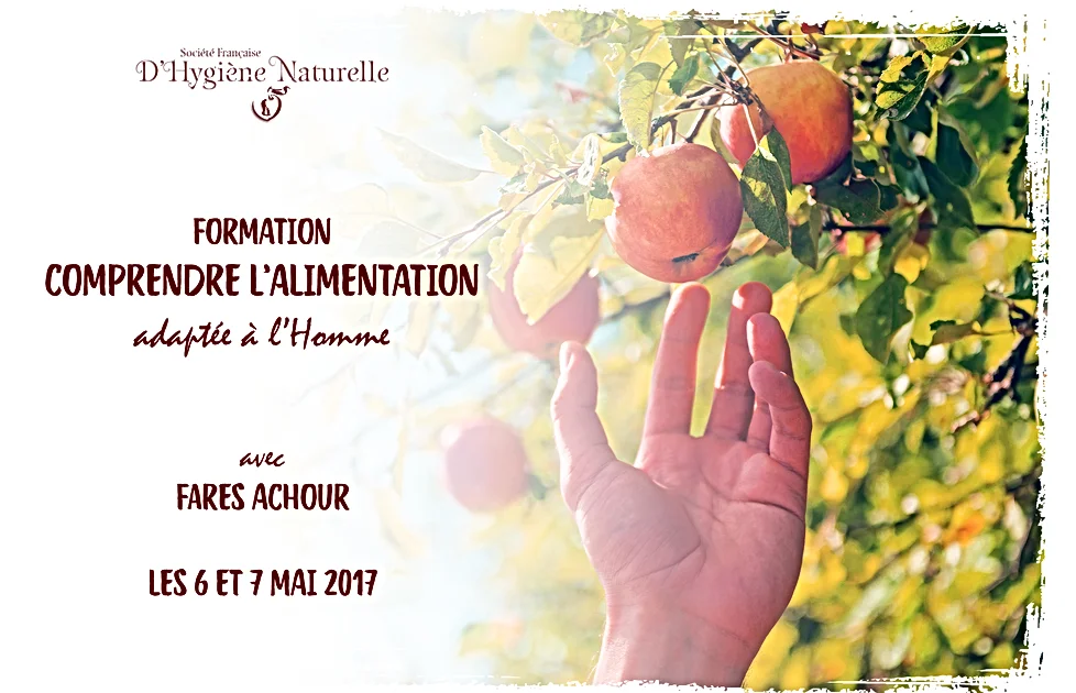 Formation Alimentation